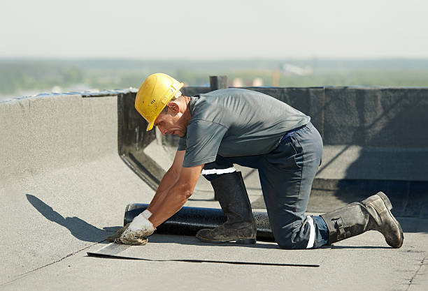 Best Commercial Insulation in Elkins, AR