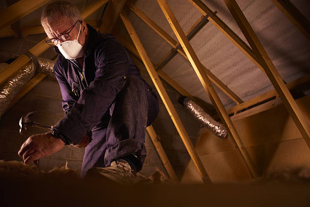 Types of Insulation We Offer in AR